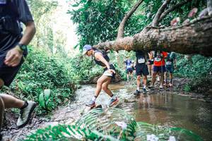 BIB: 
                            <button type="button" onclick="openModal(25475970)" class="btn btn-primary btn-sm float-right btn-popup" data-toggle="modal" data-target=".modal-high-quality">
                        <i class="fas fa-shopping-cart"></i> Add to Cart
                    </button>
                                            <button type="button" onclick="isThisMe(25475970, true)" class="btn btn-success btn-sm float-right btn-popup btn-isme hidden" data-toggle="tooltip" data-placement="bottom" title="นี่คือรูปของคุณใช่ไหม คลิกที่นี่เพื่อเอาเข้าอัลบั้ม">
                        <i class="fas fa-plus"></i> Add to album
                    </button>
                    <button type="button" onclick="isThisMe(25475970, false)" class="btn btn-warning btn-sm float-right btn-popup btn-isnotme hidden">
                        <i class="fas fa-ban"></i> Remove from album
                    </button>